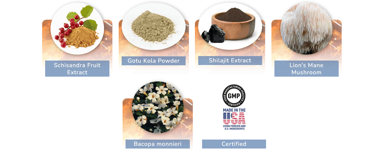 CogniSurge Ingredients